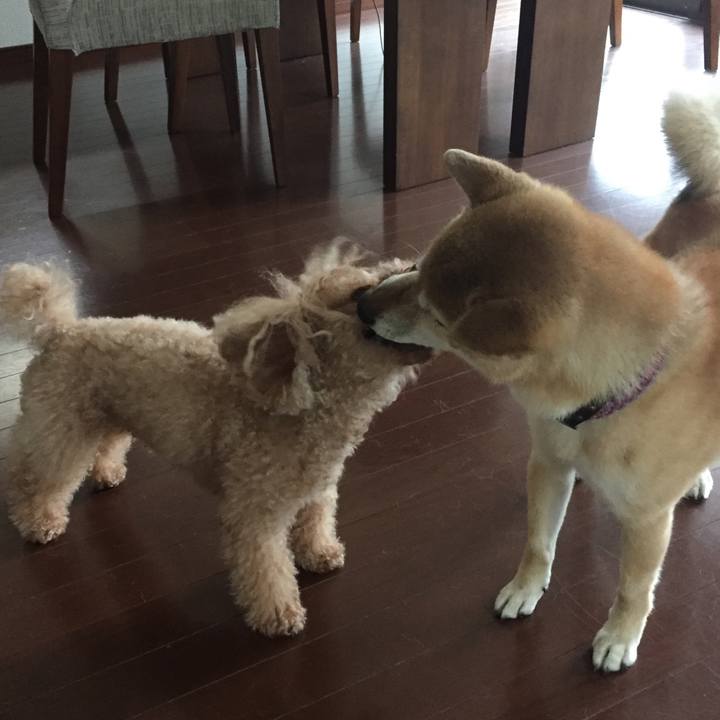 B852cdb1 56c4 4105 b8f5 eb4363463648