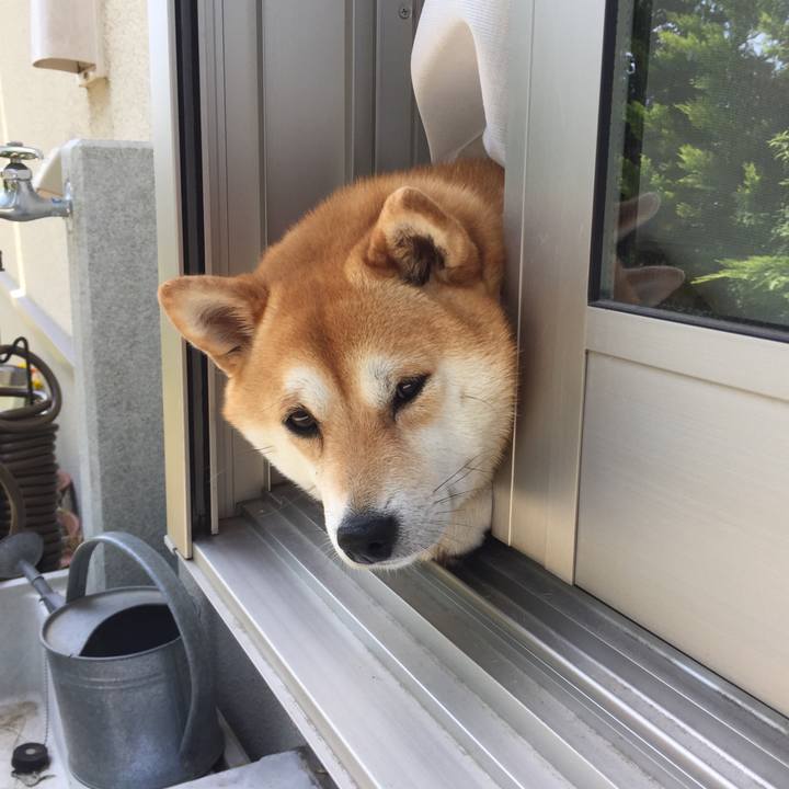 B85337ae 48ad 4f4b b220 12069446e26c