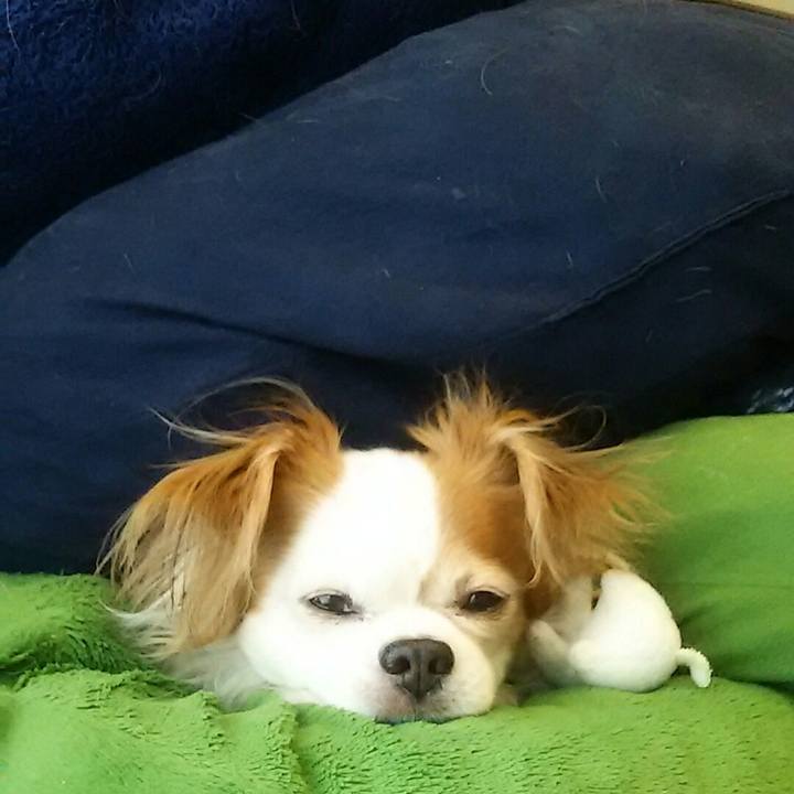 B8536ebc 0bae 493c b24c 17dcd9b1de40