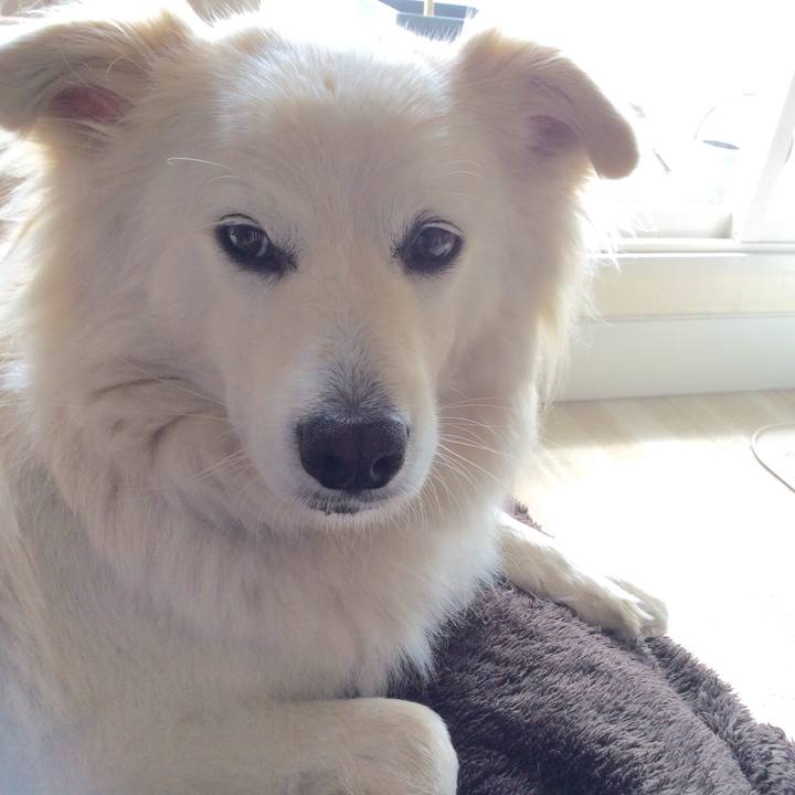 B853b491 5fd7 42b7 a11e a1ef722339e0