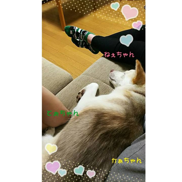 B853dc1e 07b3 43f5 b9b1 04996bde6978