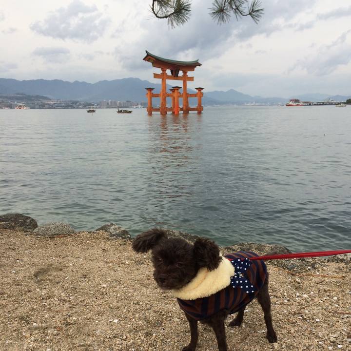 B8542621 2141 4b51 ad07 e94930284dd3