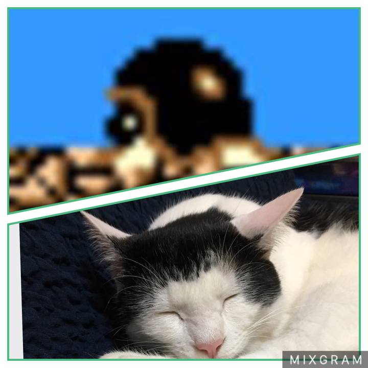 B8549039 849a 4639 a266 a413ce361149