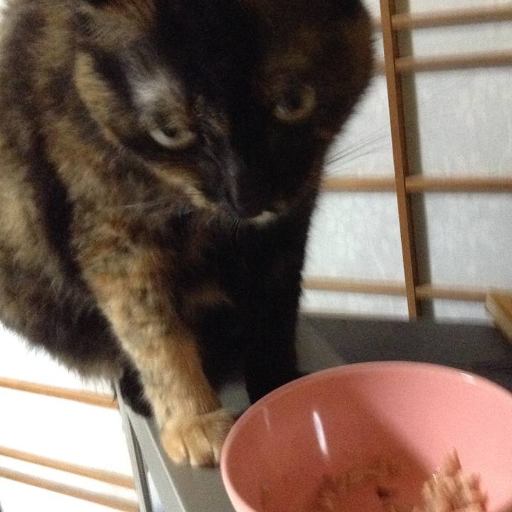 B854969e 1092 4e42 bfd3 63f84e2a8deb