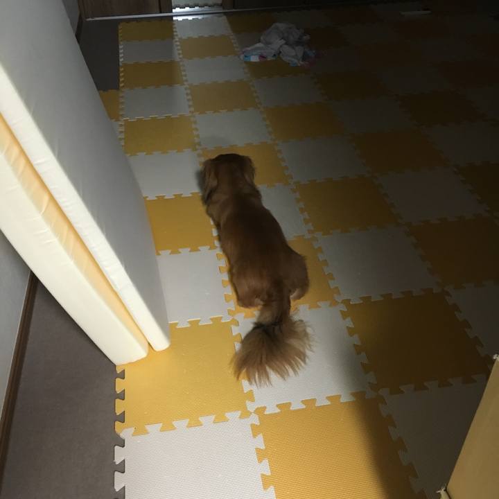 B854fcec 4d39 4209 b102 00fd579bc2ea