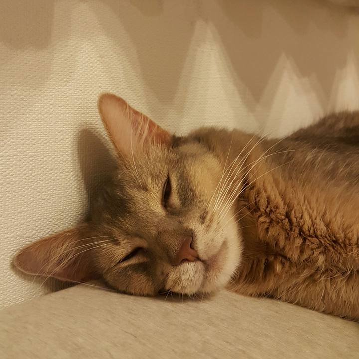 B8556263 2374 4b21 bfa2 d268d3bf3e48