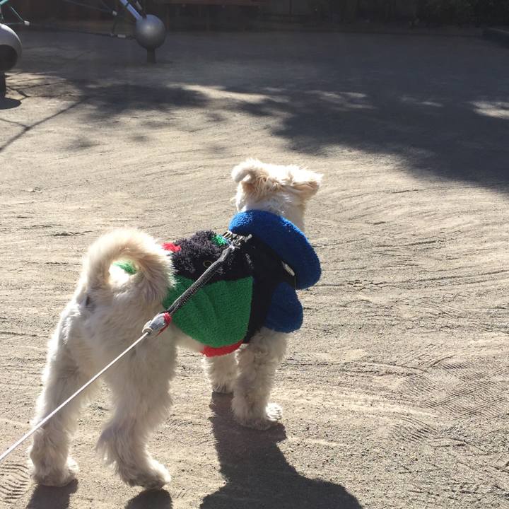 B855fdb6 2823 4e19 ae60 97d1fc5f4b28