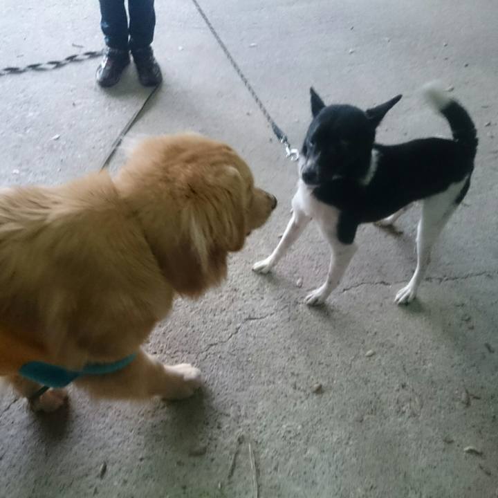 B8562ac9 de44 4cdb bb09 5a18961e24c9