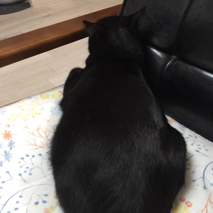 B8566bc8 cd9b 4079 929c 7839e36fc8ba