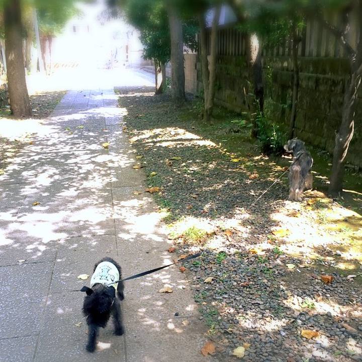 B856a783 de09 4fc0 9242 bb95e7850f02