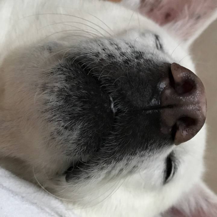 B856e114 1393 4dd4 ac6b f5019325eee2