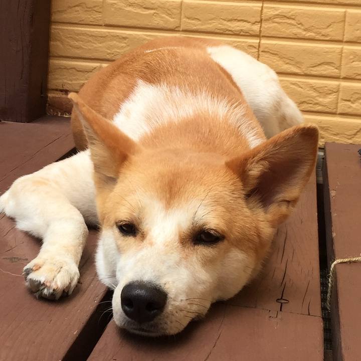 B85716cc e8df 4a50 a860 136d0a7fd8a7