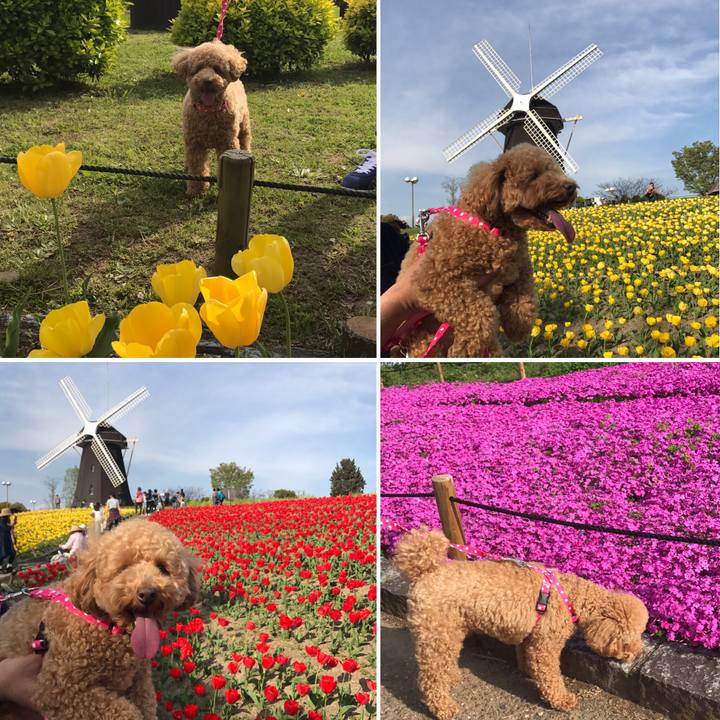 B8573e9f 8154 4cc1 97f5 2a248574767f