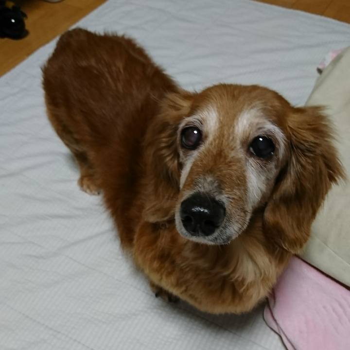 B857b3b1 bbf8 4914 bb08 61cd0b198414