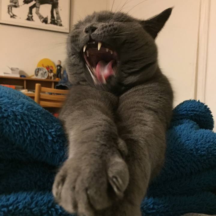 B857be11 c749 43ec b3a7 d29243572775