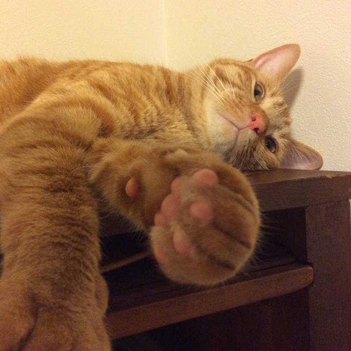 B8588674 f3df 4ab7 b683 d36ff947fd1a