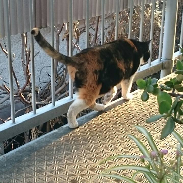 B8589a1d da51 44ca 810b bbd4689fac70