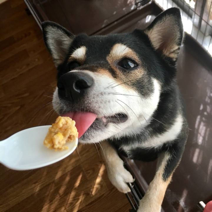 B85952ab 7372 4973 be27 f32821c598a6