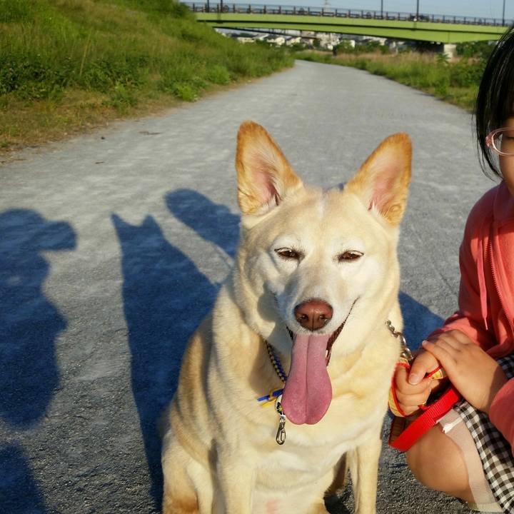 B8598ca9 a9d7 46b6 a523 5bc2fa064729