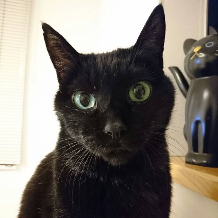 B859c8f8 3f88 4960 8fc2 74db81bc8650