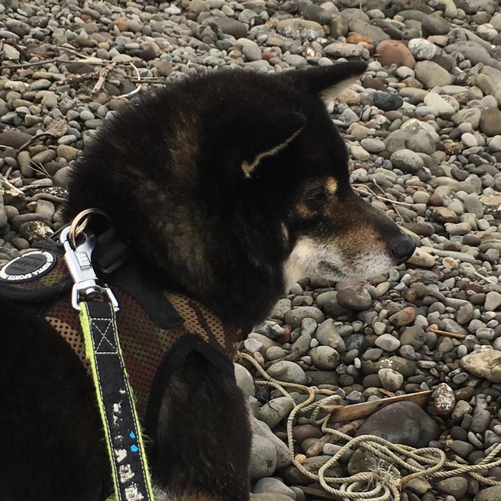 B85a3f14 ab59 41d3 aa18 e791a9717dce