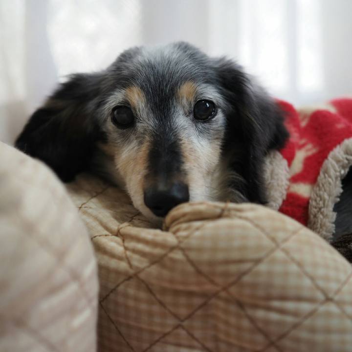 B85a4db0 f25b 4290 a487 91b723f3ee39