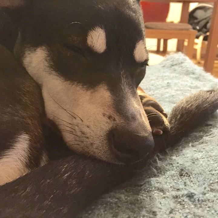 B85abbda 5971 48da a1f4 2073e0c6a2c9