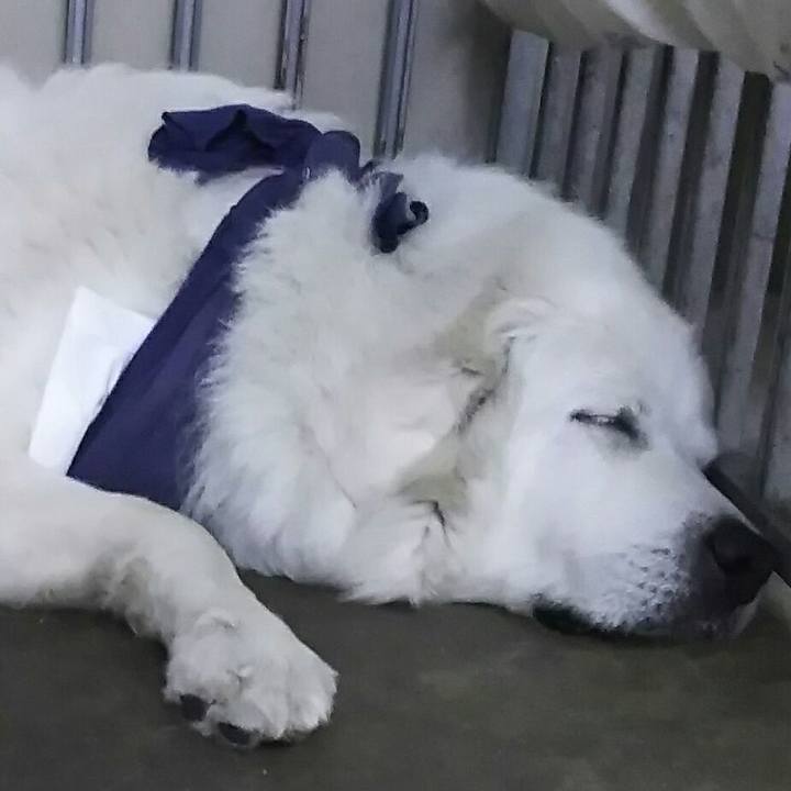 B85b35dd 9871 45bb a36c a35f2d2076d2