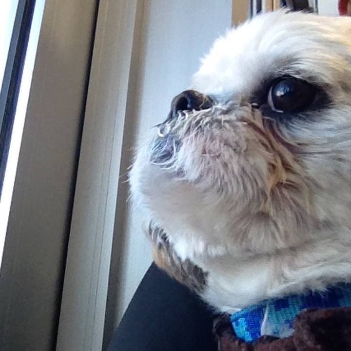 B85b6783 6dba 435d 8d67 a0ca7773e8c3