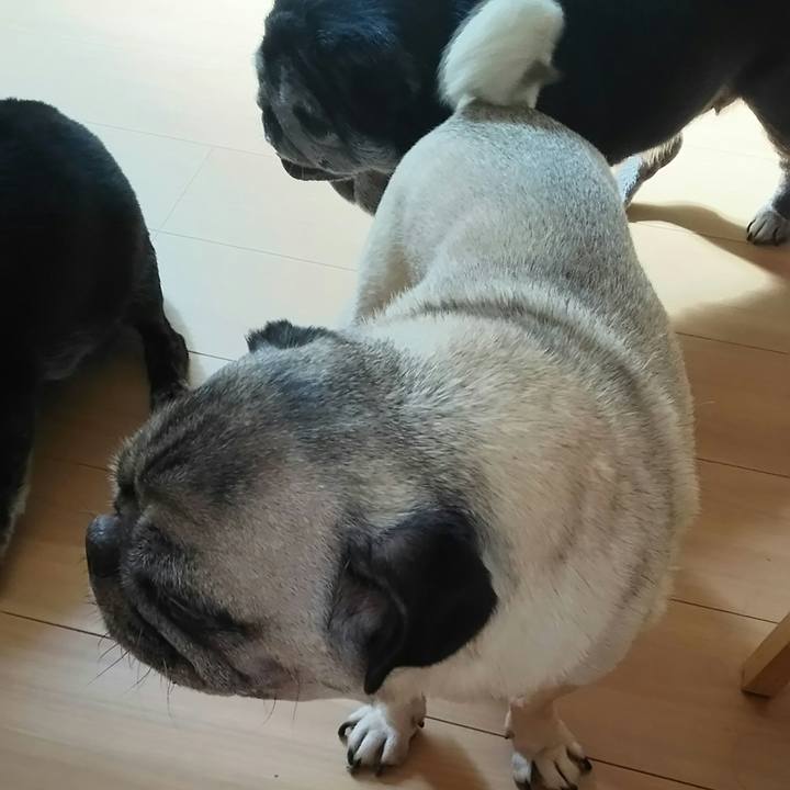 B85b72ac 612e 4b28 aa16 ad19a7d9bc53