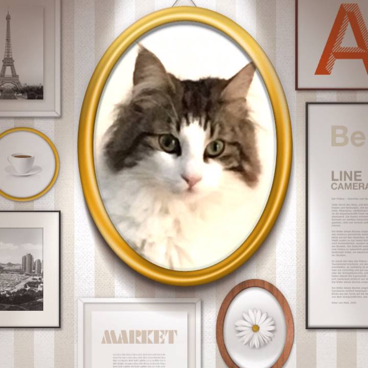 B85cd64b 1624 4af2 9c4c e4f02ddd23d4