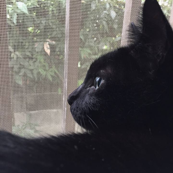 B85cfe1d d97a 4d65 a325 1e0aa40c9485