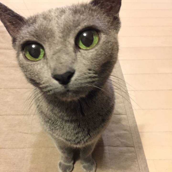 B85d90a7 e518 4ae9 8d2a 26e64f52b018