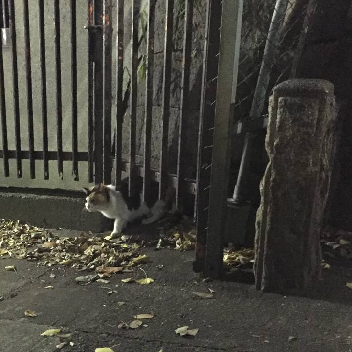 B85dbfd3 b476 42fe bb04 4e9fa05088b3