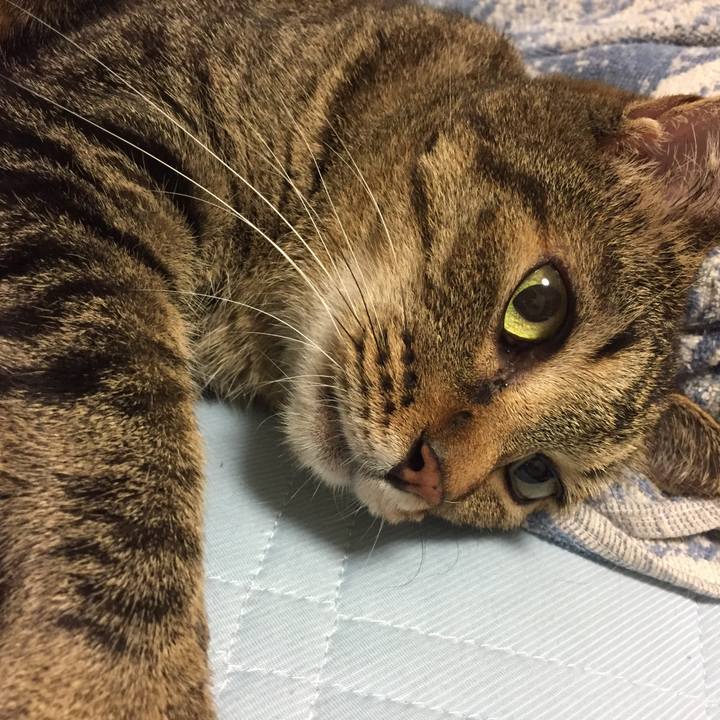 B85df08f cb3f 4c00 b650 aaf74737d0dd