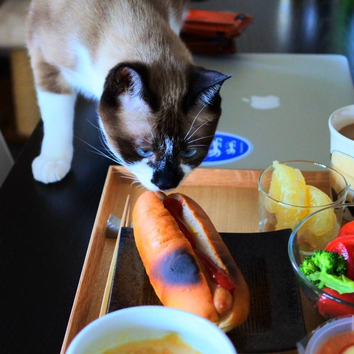 B85e084f c069 47d4 bef6 2f7295aa1f1d