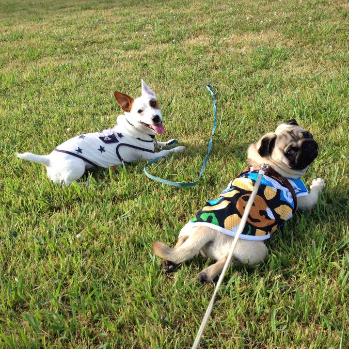 B85ec8ca 67b1 4a07 aa60 bb4aaec805f3