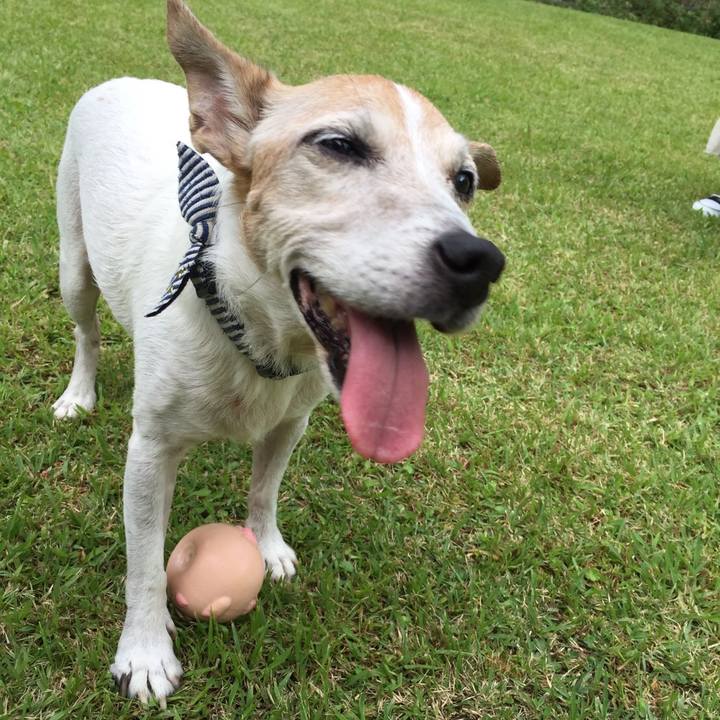 B85f2f14 106c 4db6 b2e8 d223109f850c