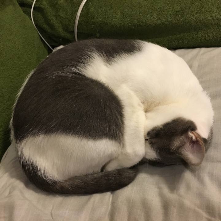 B85f5628 dff7 45b8 9a8c a8792ae9cef6