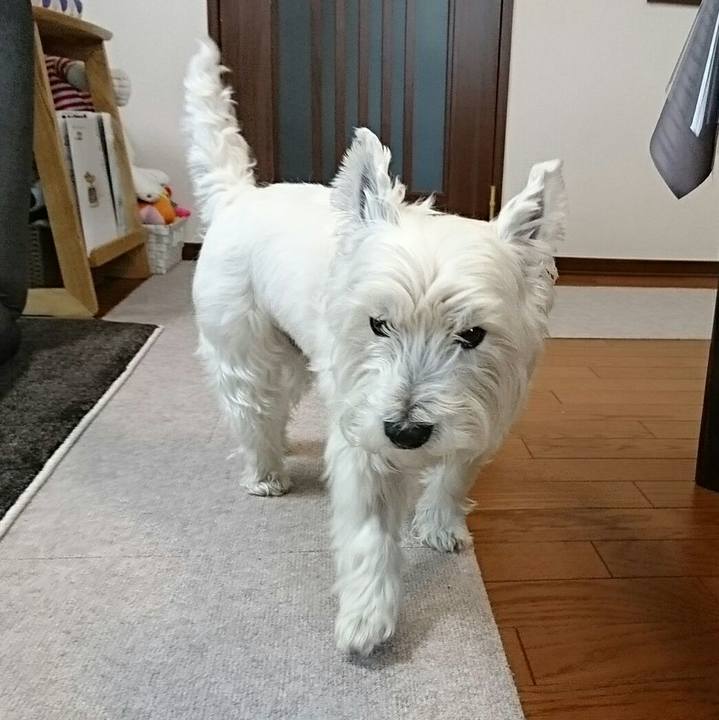 B85f734c 67cc 41fe 97fb 01655323b784