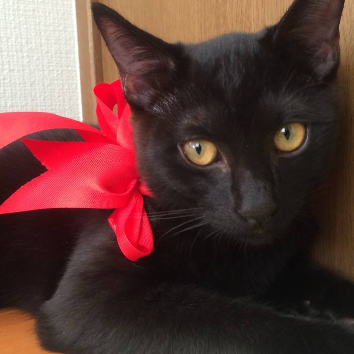 B860dfaf e5e7 4719 a4e2 ad0c65156386