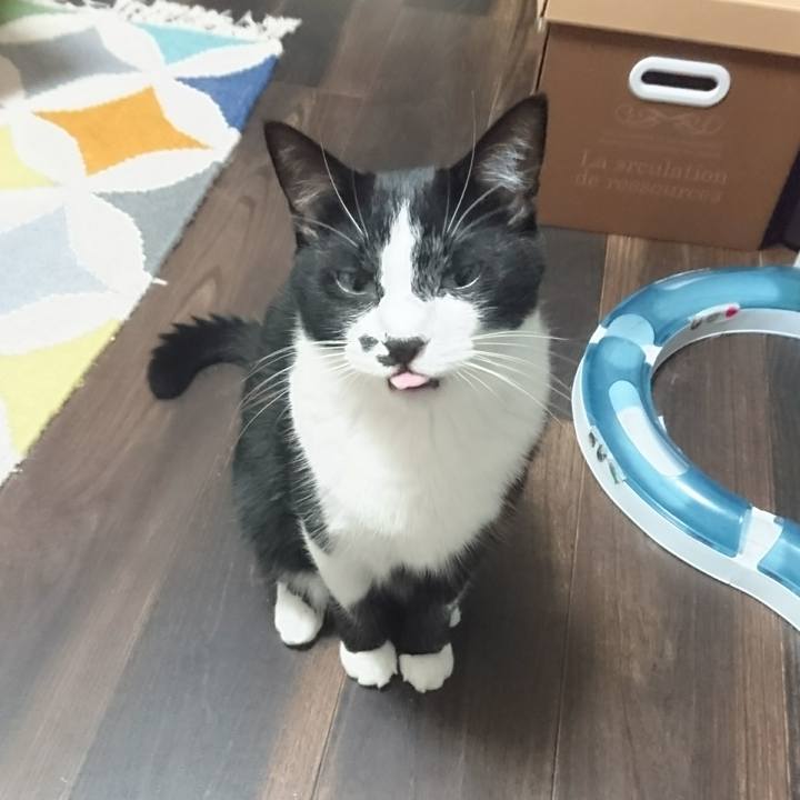 B860e299 81ee 415c 8adb 9a5fb80e0259