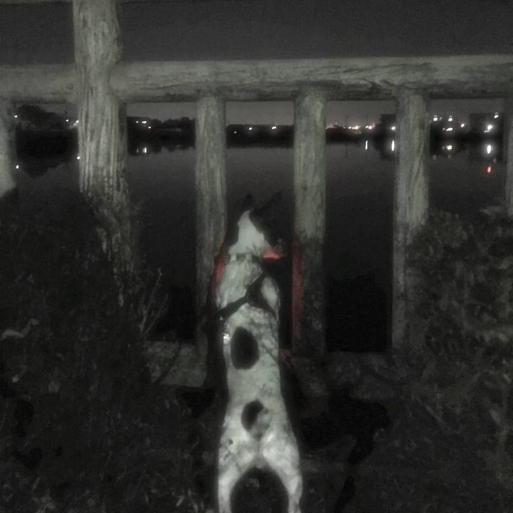 B8610abc b25d 4247 939d 6daf7bf35491