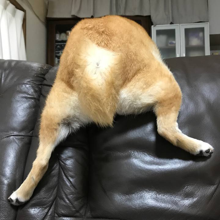 B861caa4 158b 4278 852e cd4c03c16938