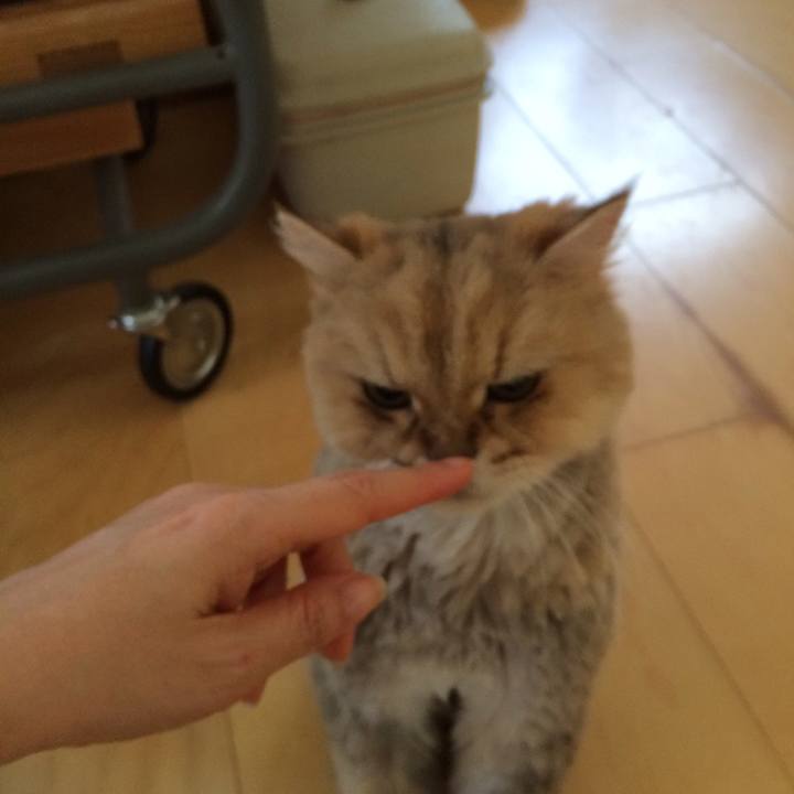 B8624cbf 5033 4c94 b9b3 01e9c0fdc2f0