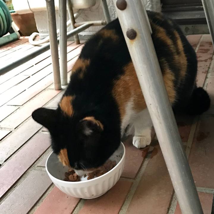 B86262e0 0e23 41eb 908a c5cf02a35a88