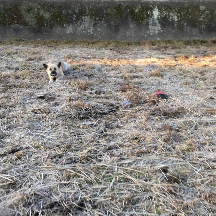 B862891e df21 435b 9147 452ee5d29aaf