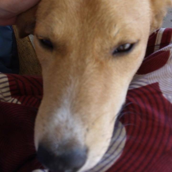 B863b9ce db84 4884 a6f9 2a3a96db9a72