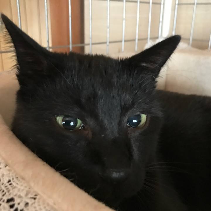 B863ca4c 3fae 4b0b 8c68 4f32d395411b