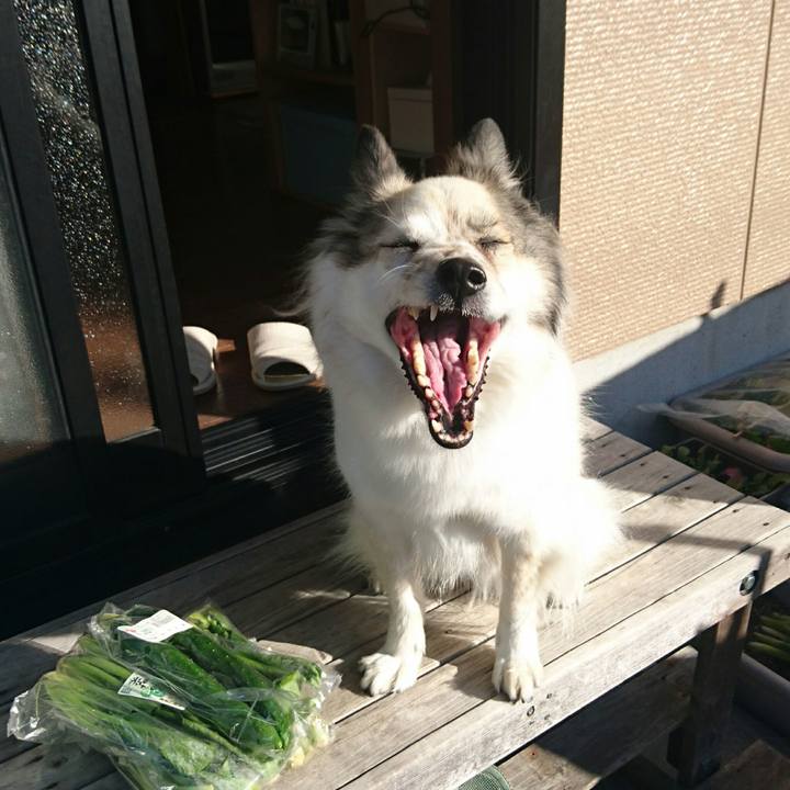 B863fecb 01e3 449d 9334 bf9c3eeab7c4